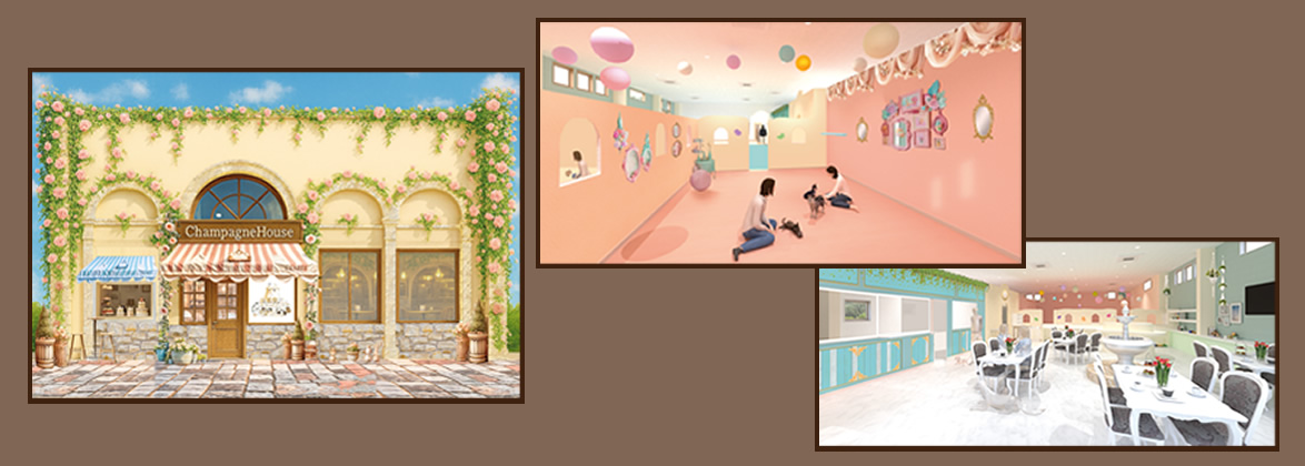 シャンパンハウス｜豊川市の触れ合い＆カフェ｜スナネコ・キンカジュー・ビントロング｜クレープ・スイーツ